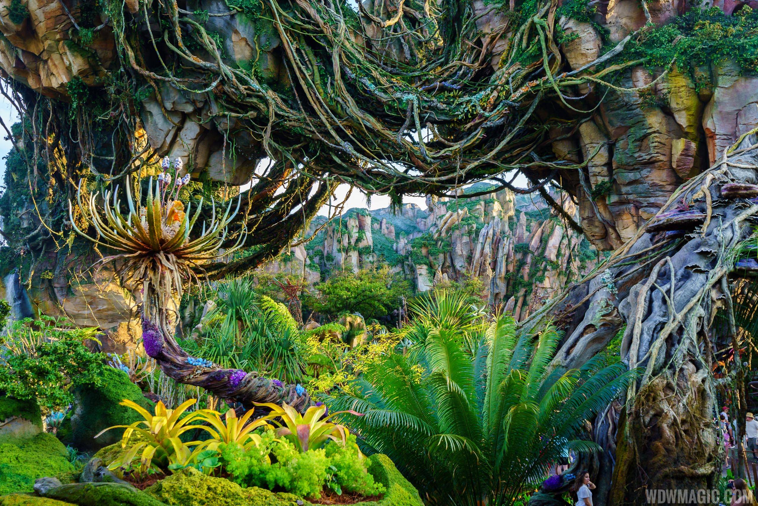 These Places Will Remind You Of Pandora From Avatar